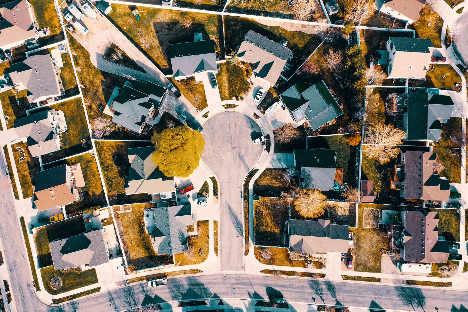 Housing and Tenant’s Rights