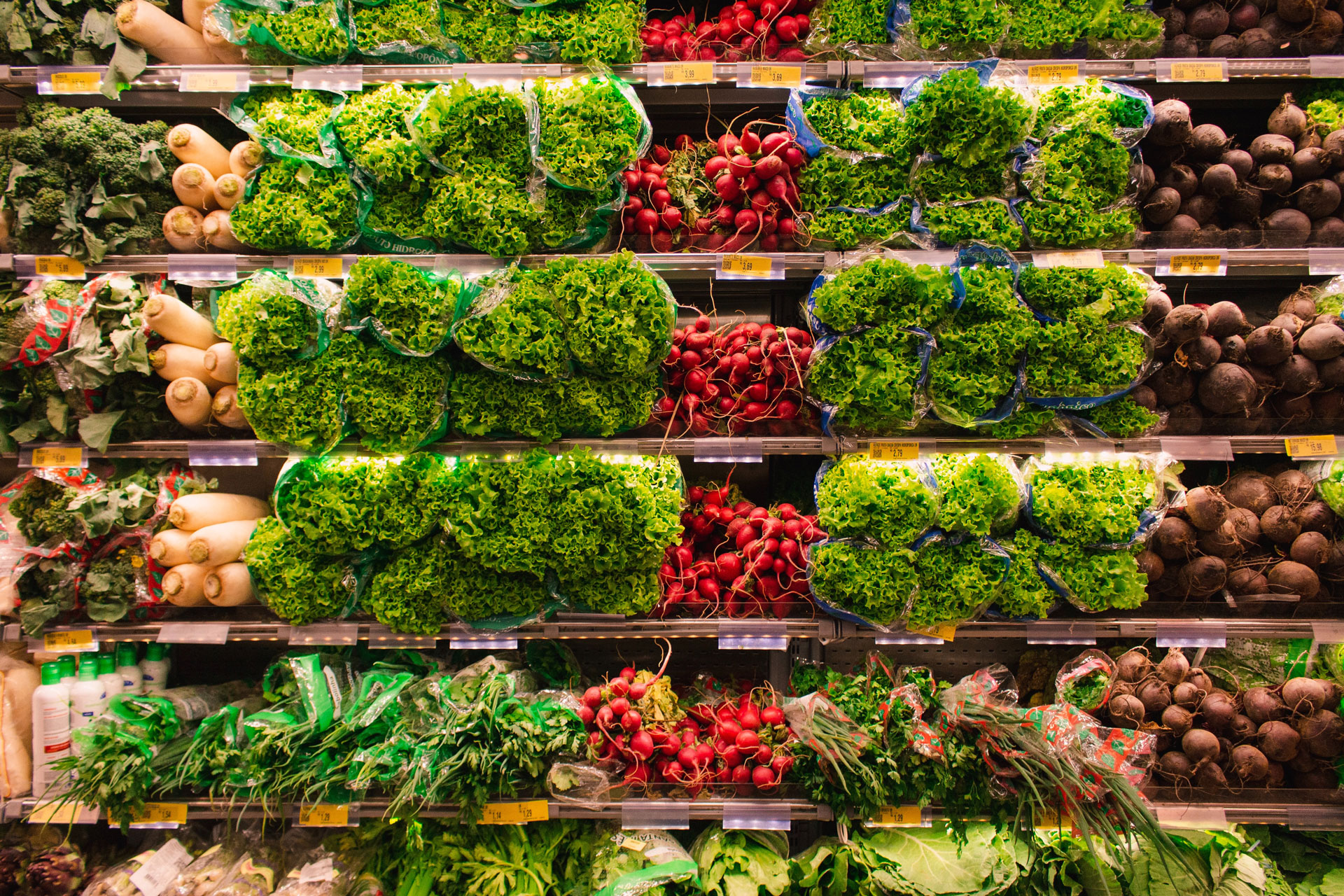 Food Insecurity